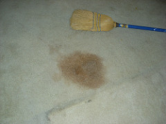 Stain in one of the bedrooms left by the painter. Click for more pictures. Stain in one of the bedrooms left by the painter. Click for more pictures.